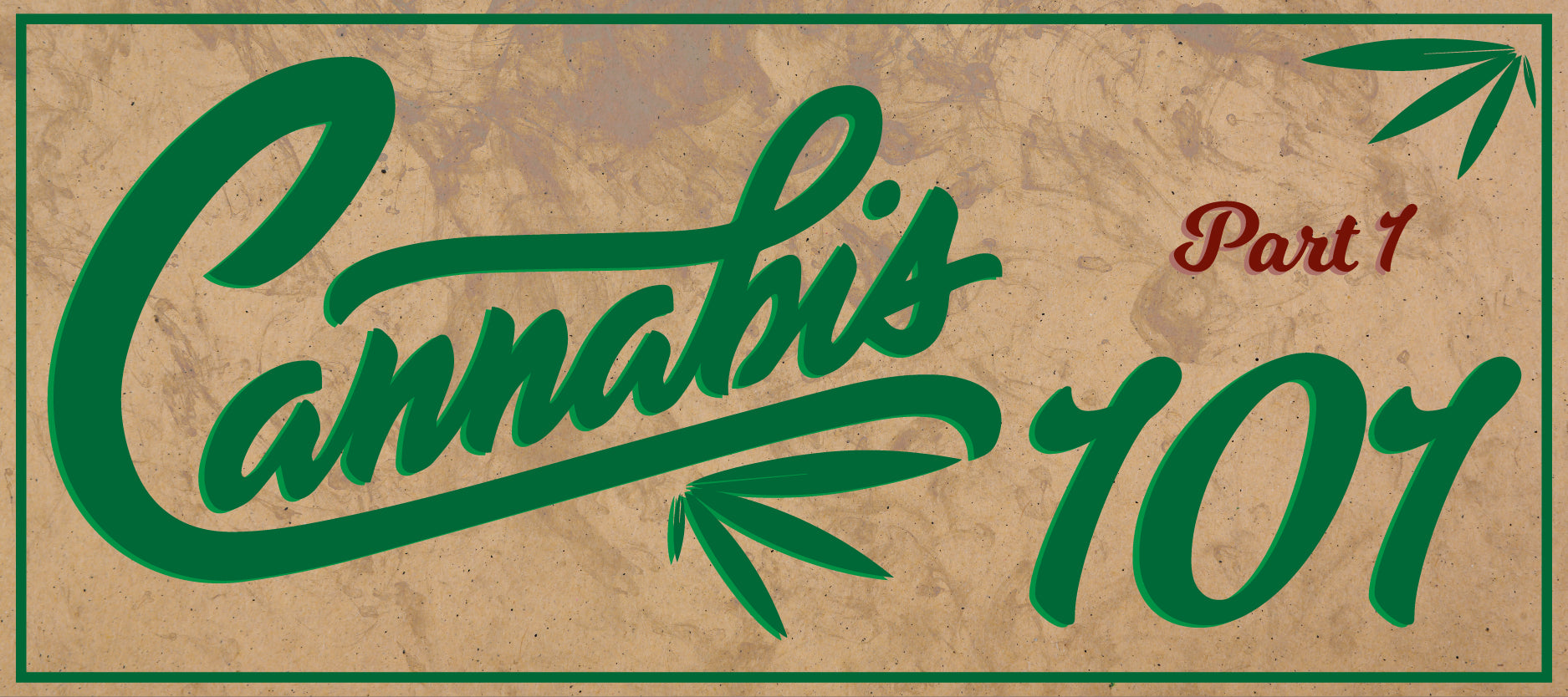 Cannabis 101: Class in Sesh