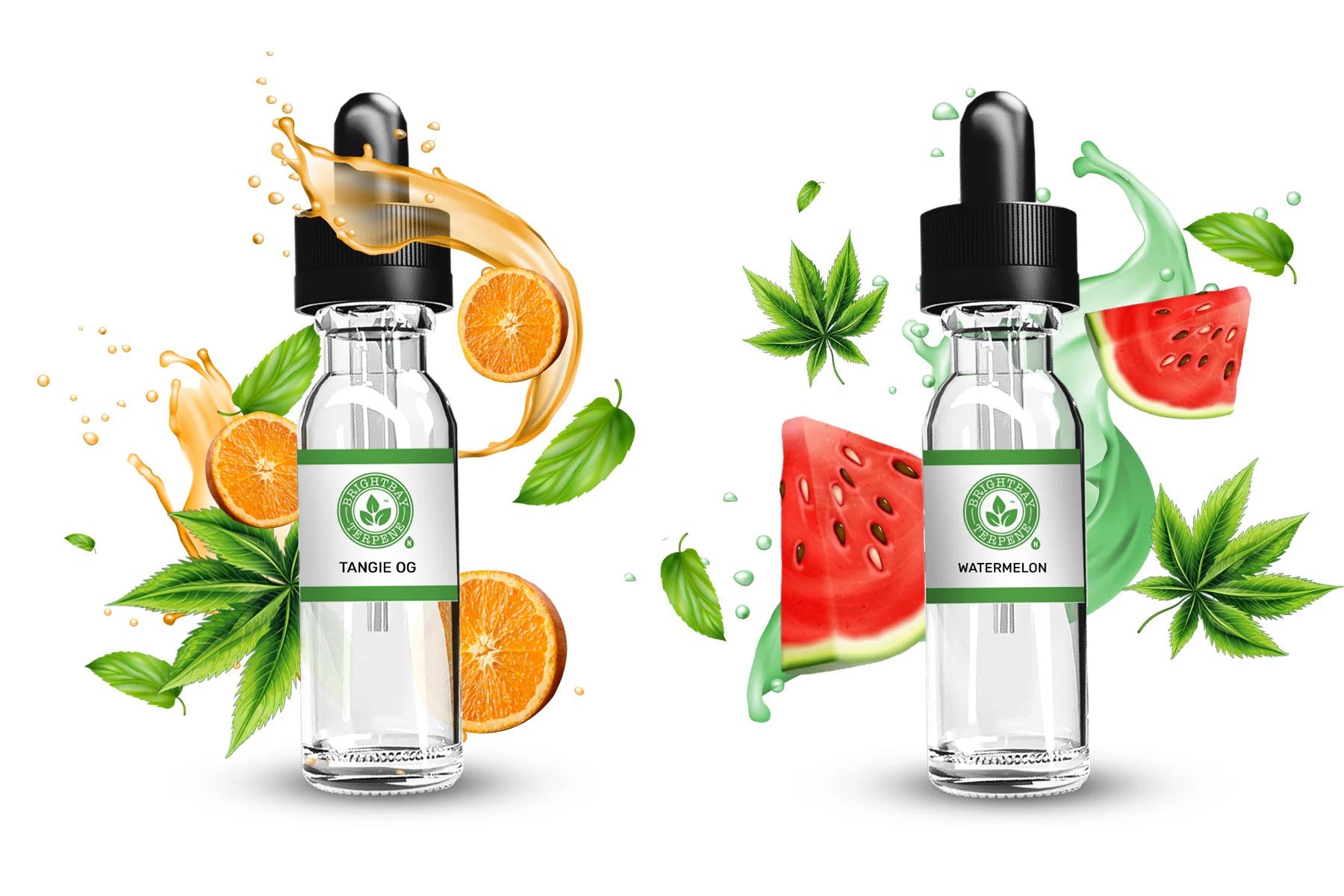 Everything You Need to Know About Terpenes: Aroma, Flavor, and Beyond