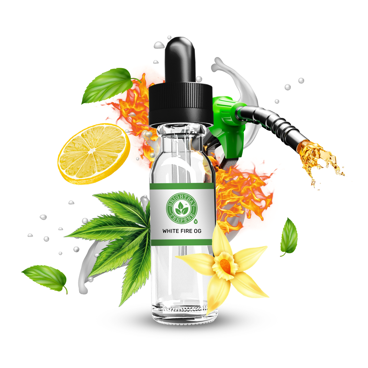 BrightBay White Fire OG Terpene - Hybrid - 25g High Life Goods
