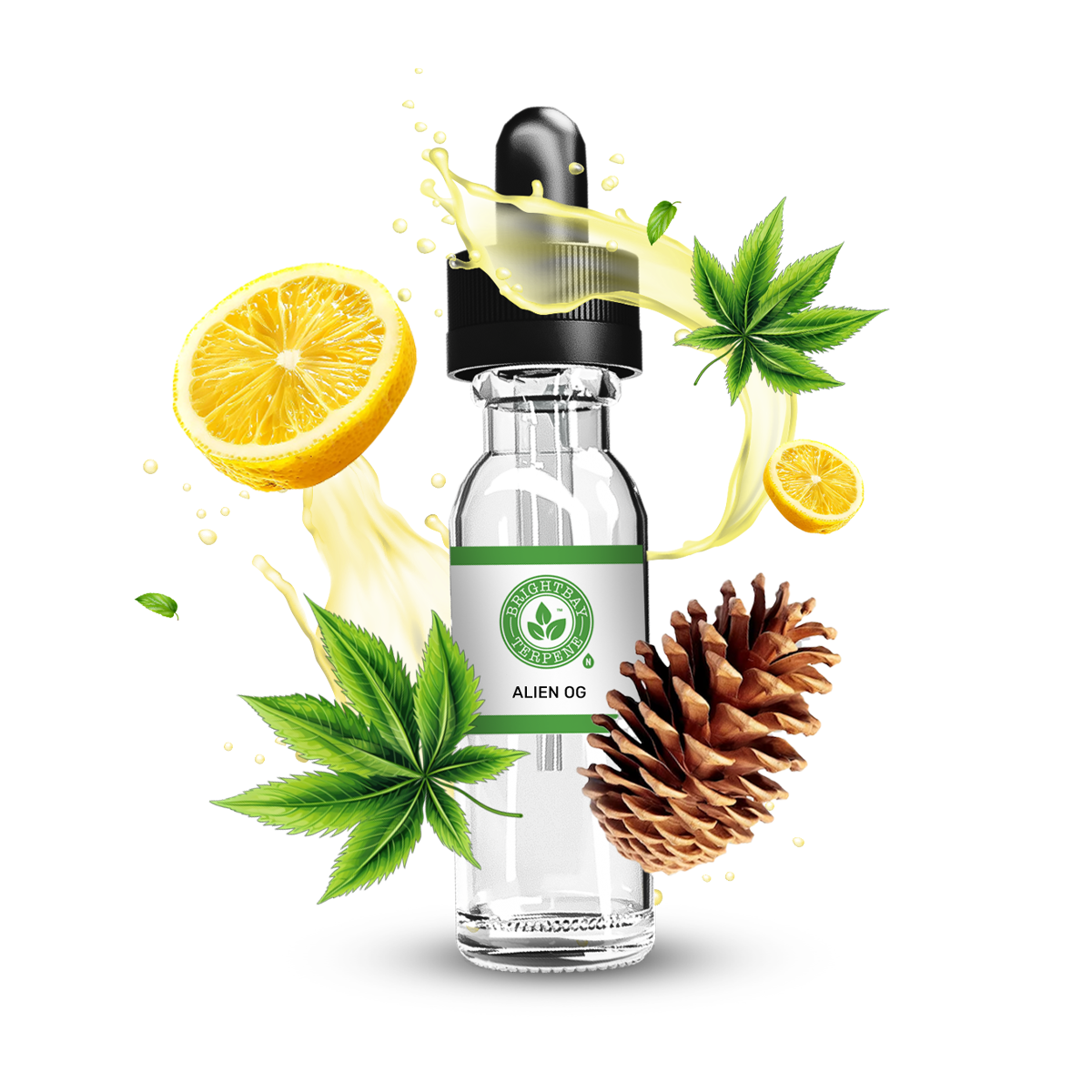 BrightBay Alien OG Terpene - Hybrid - 25g - High Life Goods