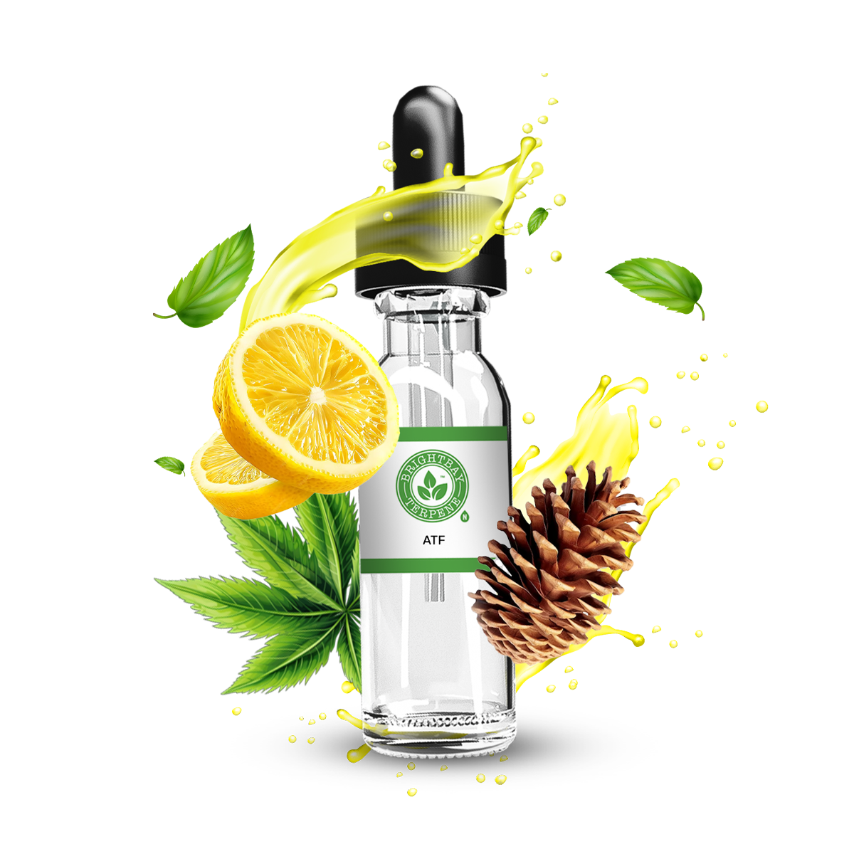 BrightBay ATF Terpene - Sativa - 25g - High Life Goods