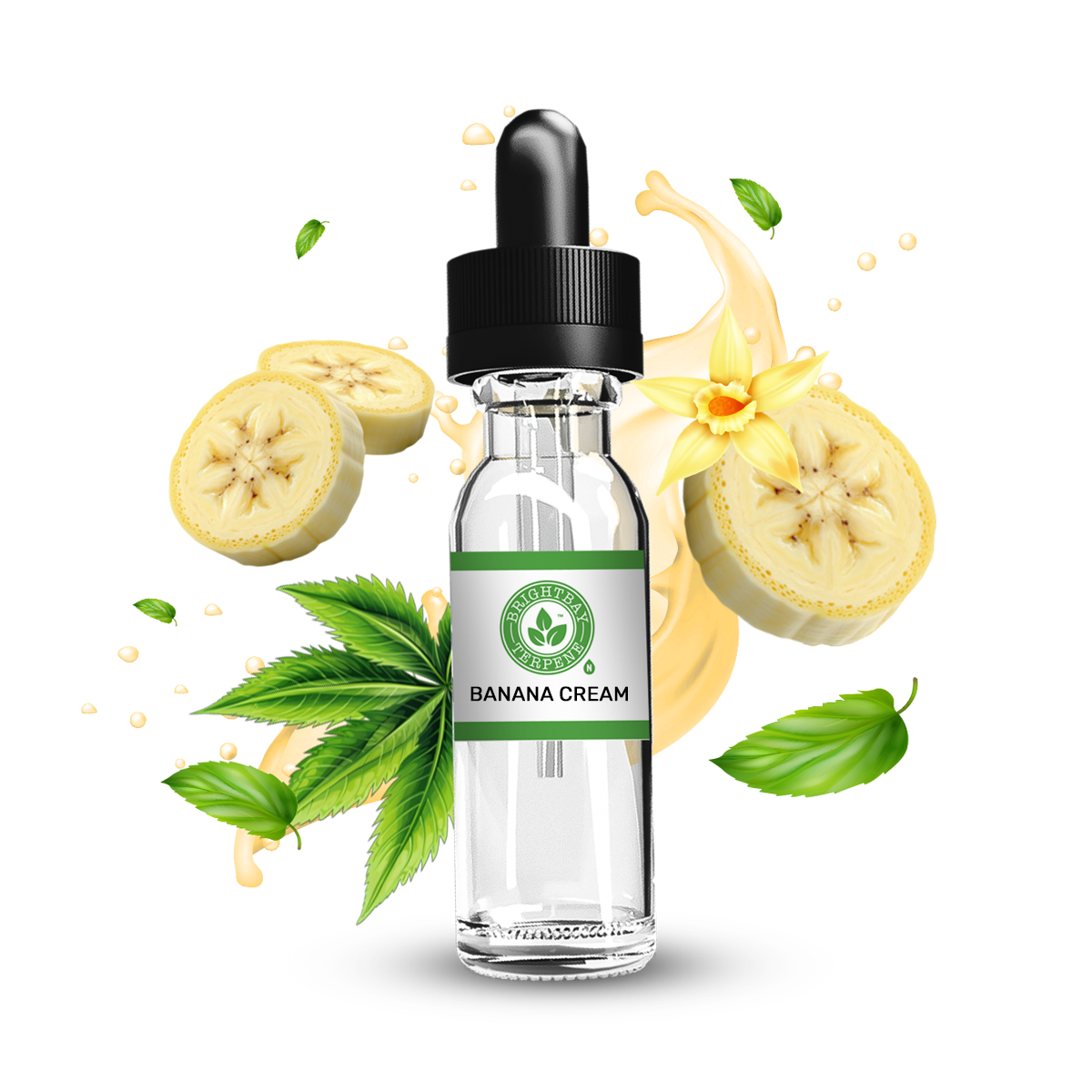BrightBay Banana Cream Terpene - Hybrid - 25g - High Life Goods