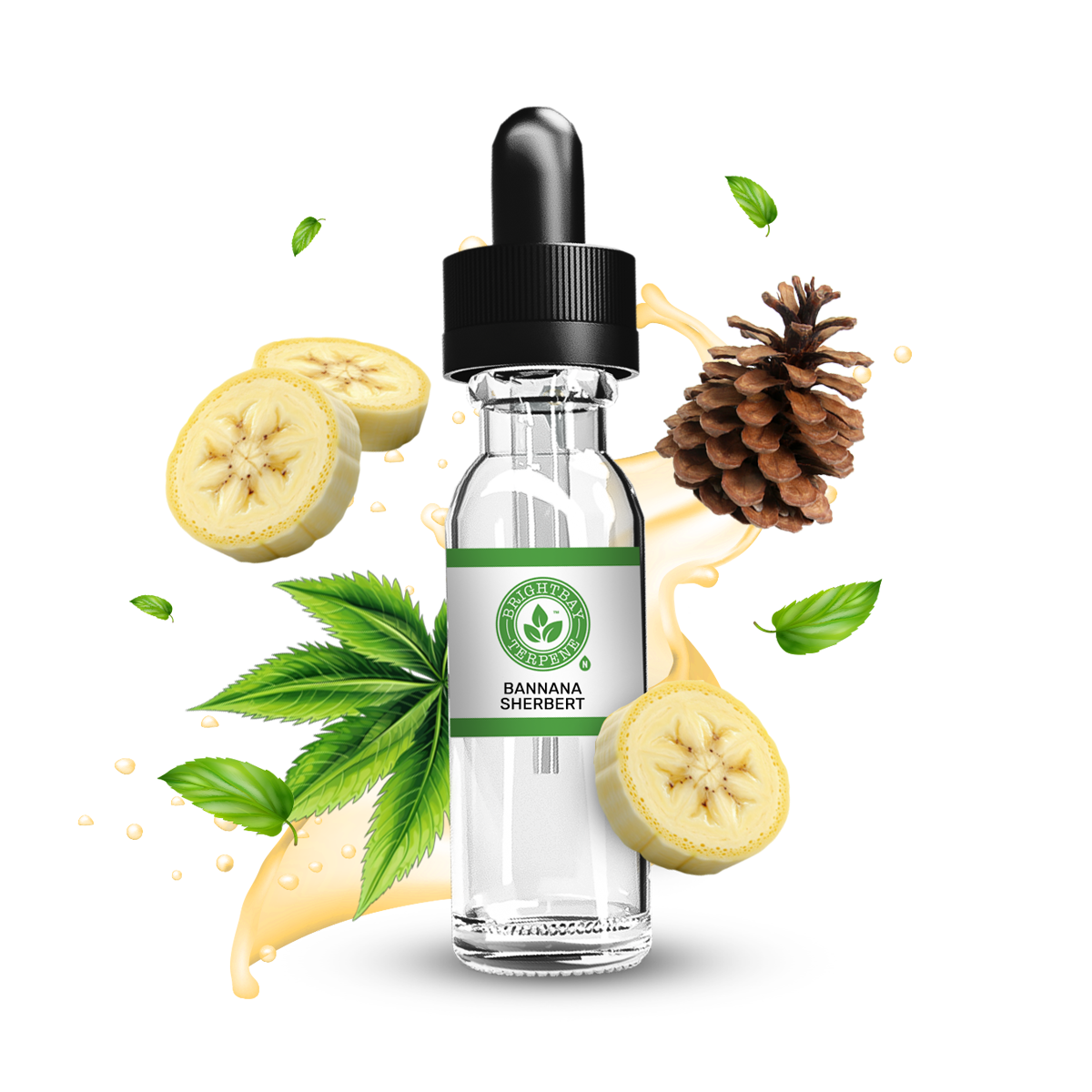 BrightBay Banana Sherbet Terpene - Hybrid - 25g - High Life Goods