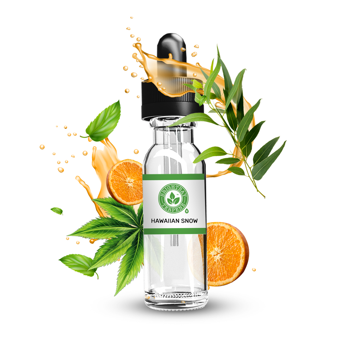 BrightBay Hawaiian Snow Terpene - Sativa - 25g - High Life Goods