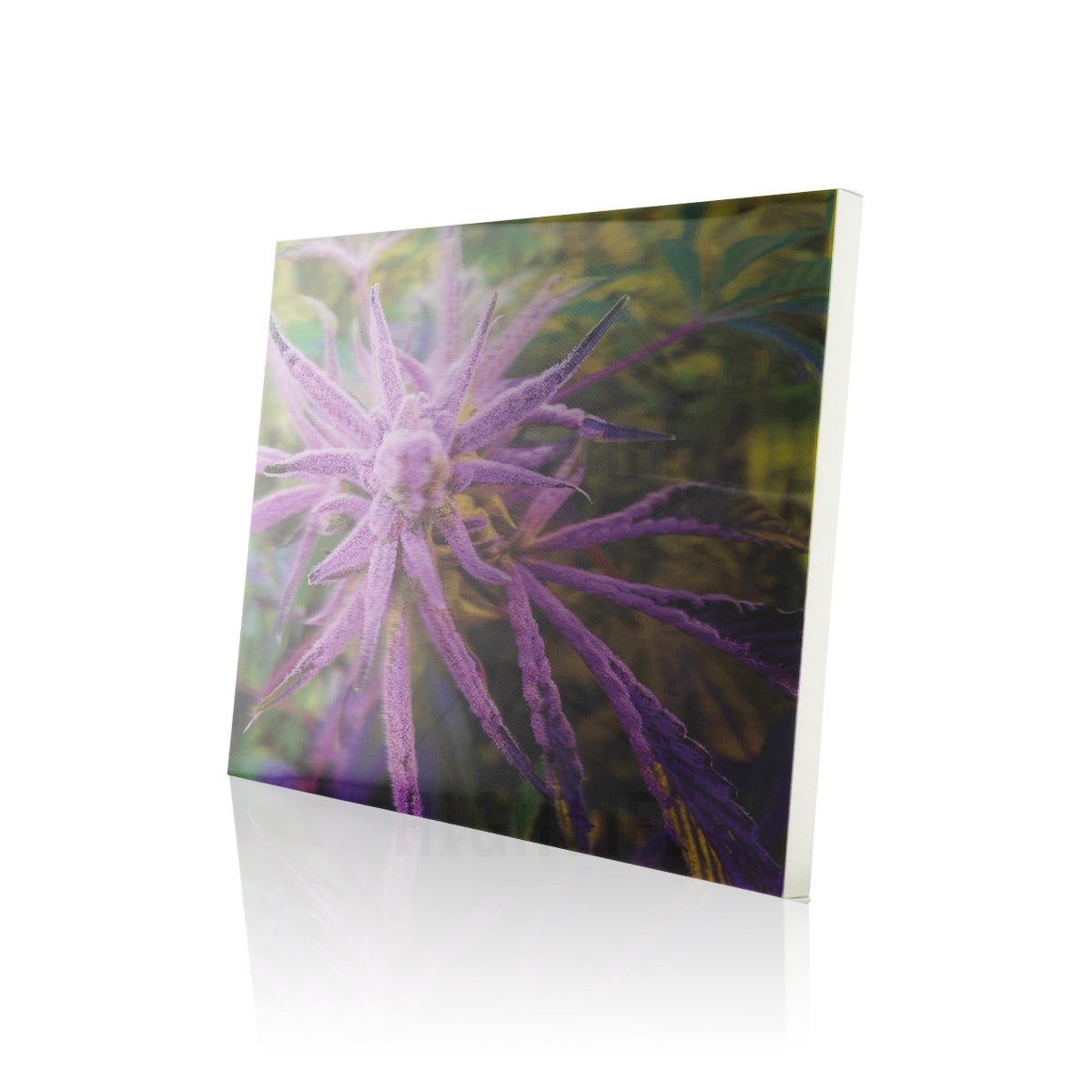 Orange Haze Bud 3D Holographic Print