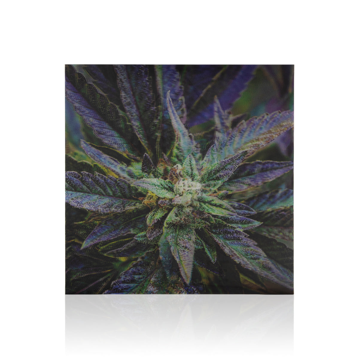 Purple Kush 3D Holographic Print