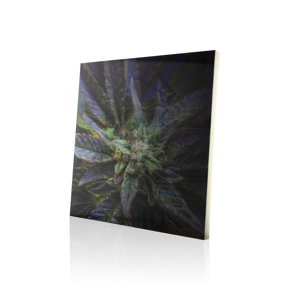 Purple Kush 3D Holographic Print