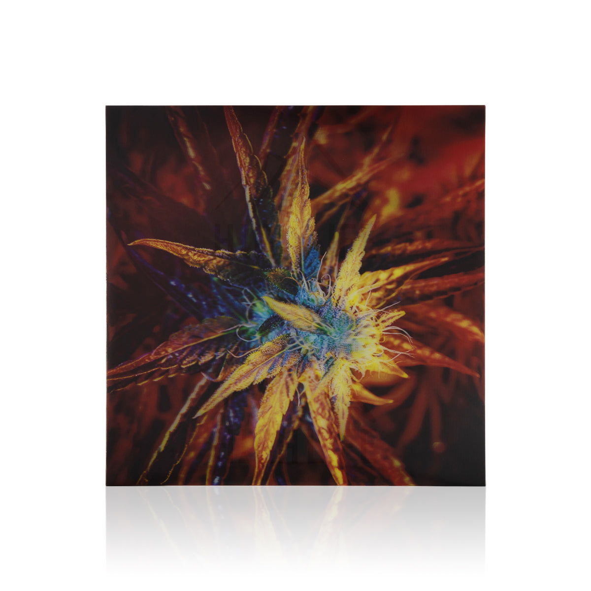 Red Flower 3D Holographic Print