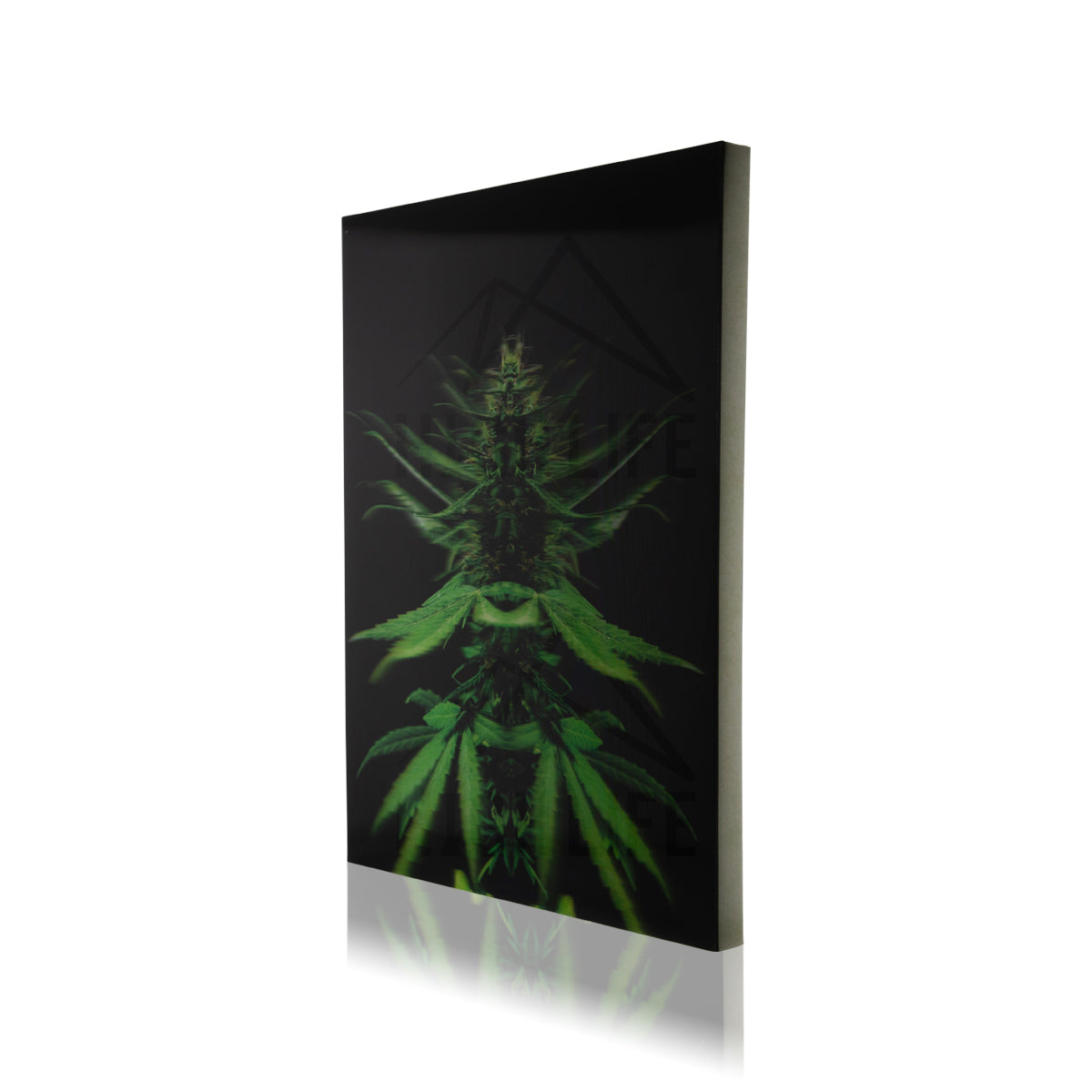 Ganja Prime 3D Holographic Print