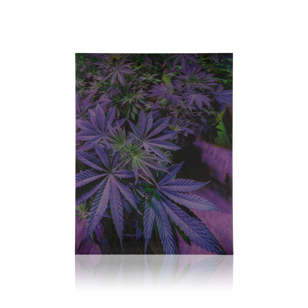 Purple Plant 3D Holographic Print