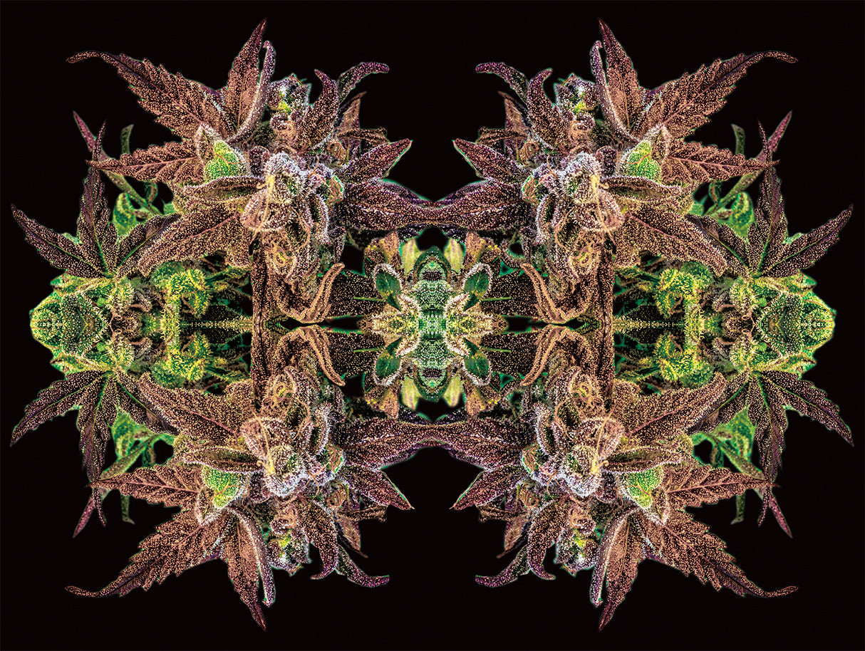 Kaleidoscopic 3D Lenticular Print Wall Art Front Facing