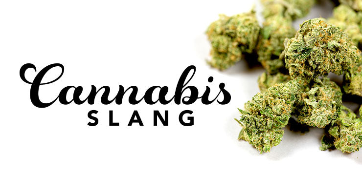 Slang Used for Cannabis