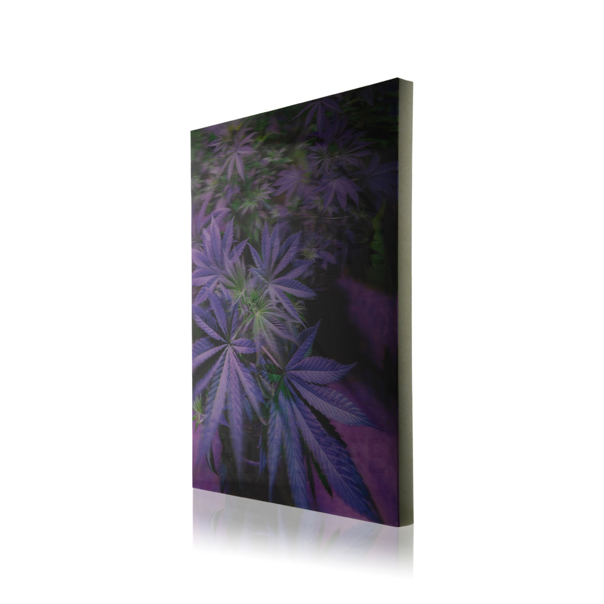 Purple Plant 3D Holographic Print
